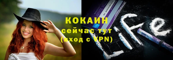 МДПВ Козловка