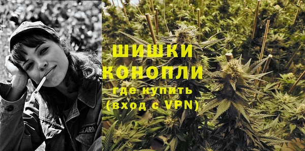 МДПВ Козловка