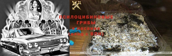 МДПВ Козловка