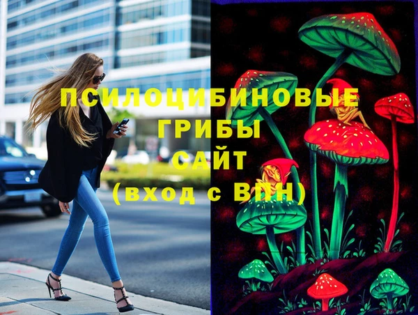 соль курить ск Козельск