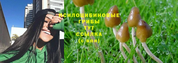 соль курить ск Козельск