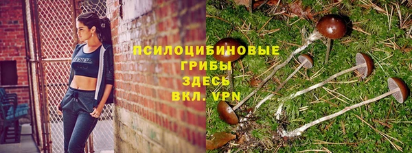 соль курить ск Козельск